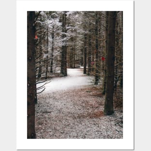 Photo of Mysterious Forest Trail Covered with Snow V2 Posters and Art